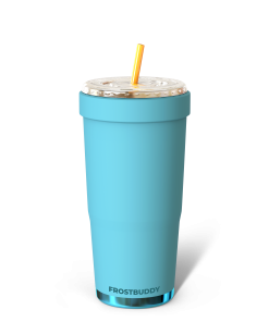 To-Go Buddy | Tidal Teal